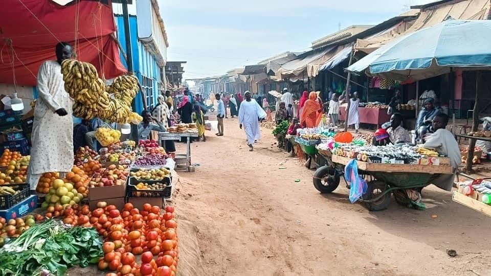 El Fasher’s livestock market and the road to food security