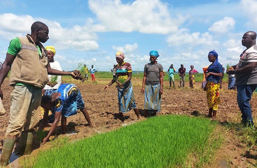 Burkina Faso: New 840 Billion CFA Franc Investment Plan Targets Food Independence