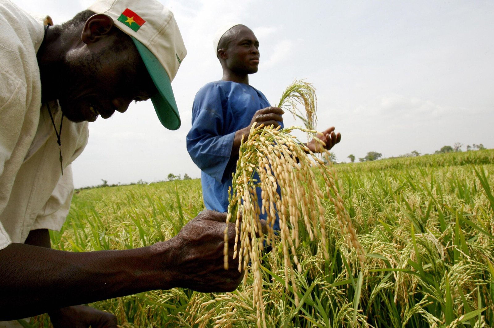 Burkina Faso: The Resounding Triumph of Food Sovereignty