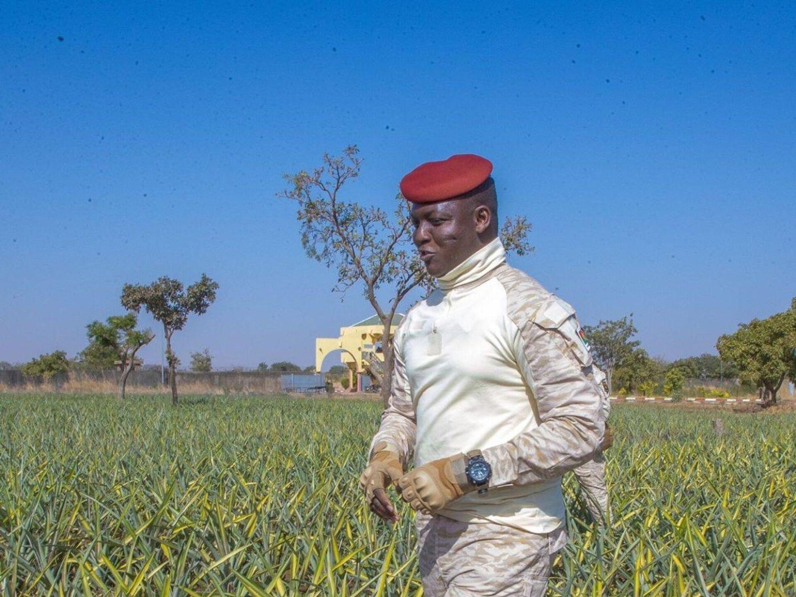 Burkina Faso boosts food production through major agricultural programme