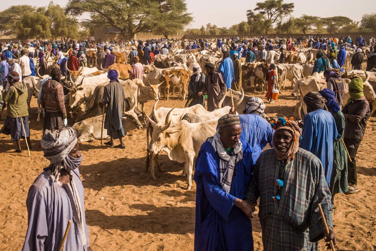 Burkina Faso and Togo join forces to secure cross-border livestock trade